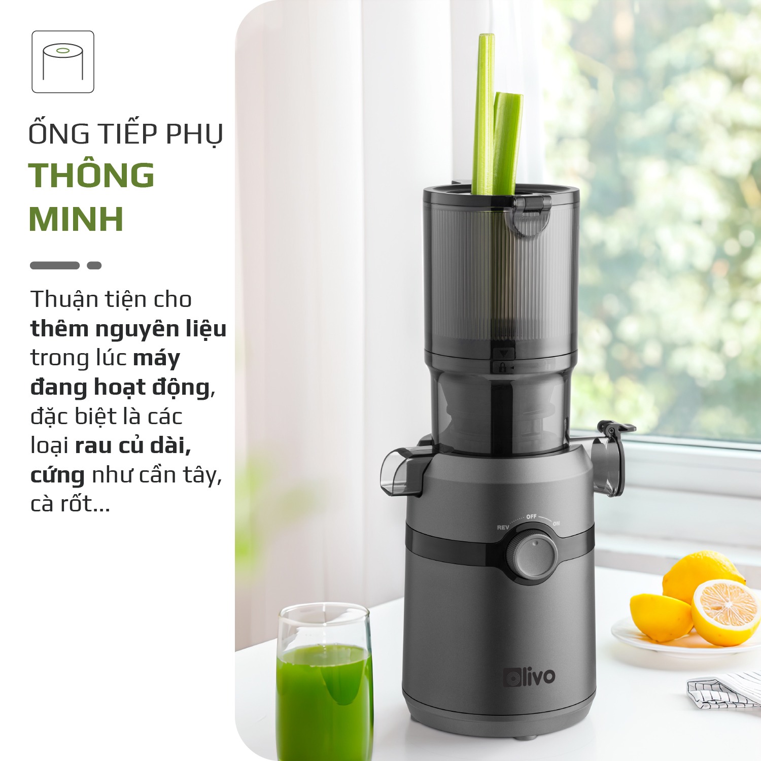 /Images/Products/nguyen.hung.phong_Artboard-4_item_SJ240.jpg