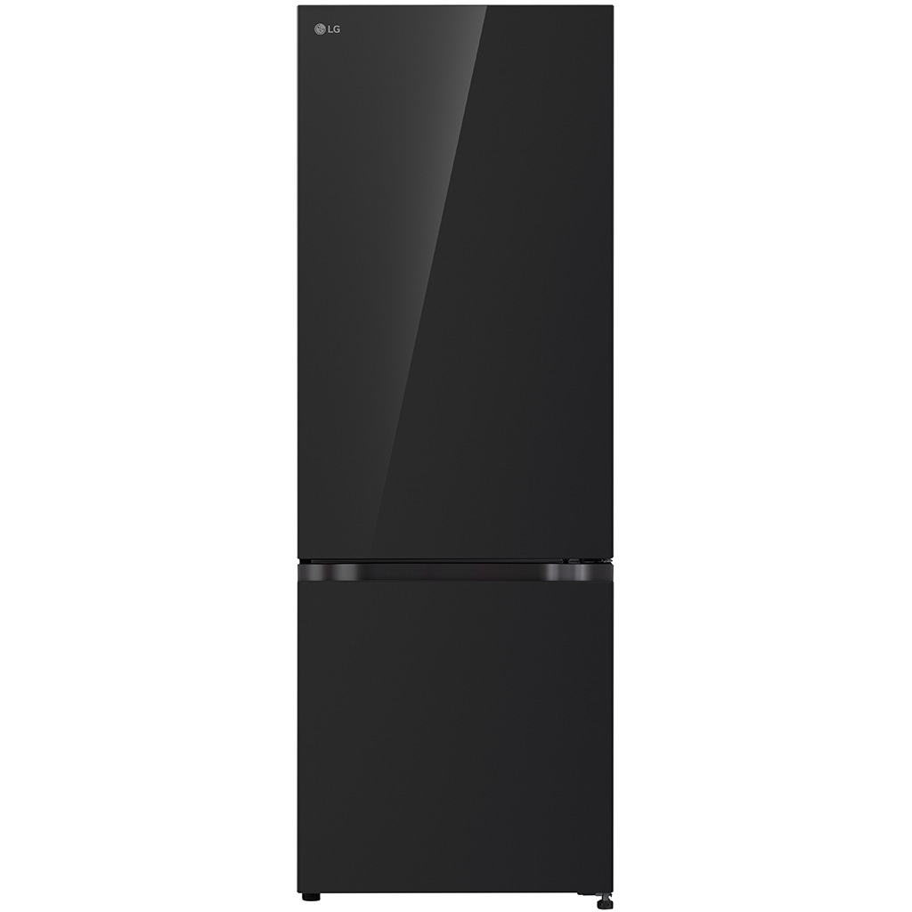 Tủ lạnh LG 335 lít LBB33BLGA (ngăn đá dưới)