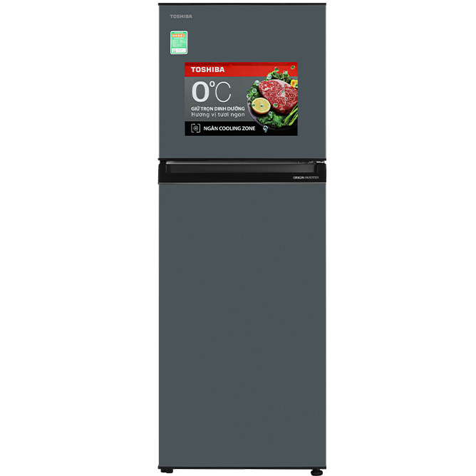 Tủ lạnh Toshiba 253 lít GR-RT329WE-PMV(52)