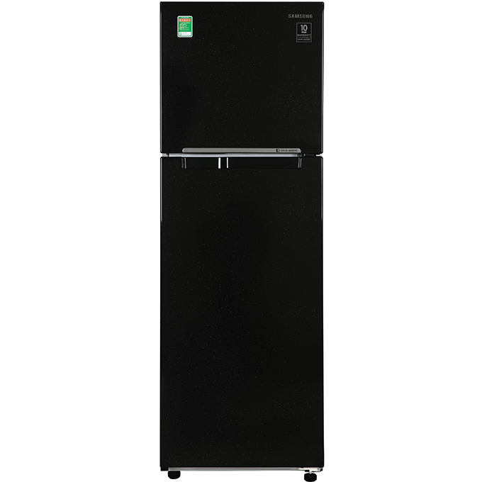 Tủ lạnh Samsung 256 lít RT25M4032BU/SV